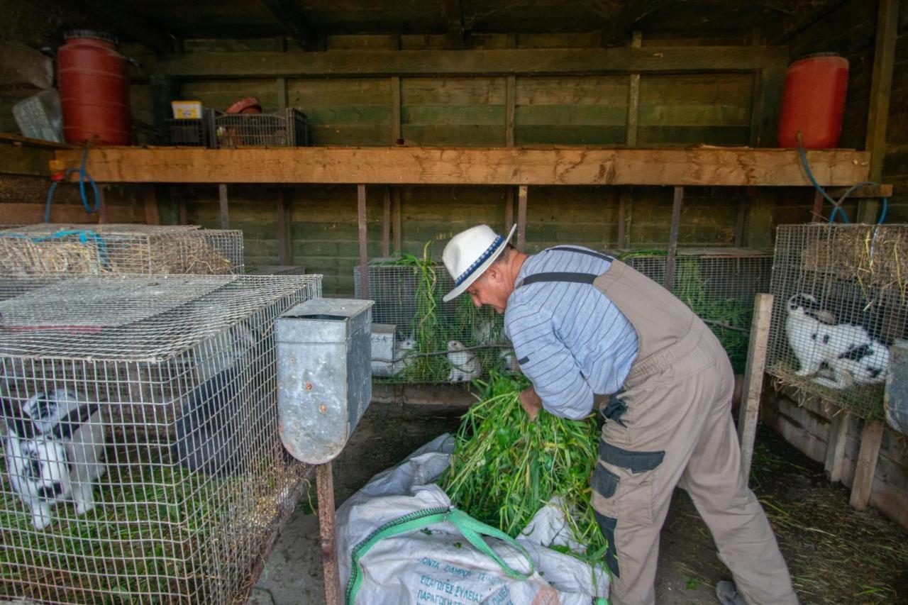 Loukas Farm House Agios Kirikos  ภายนอก รูปภาพ