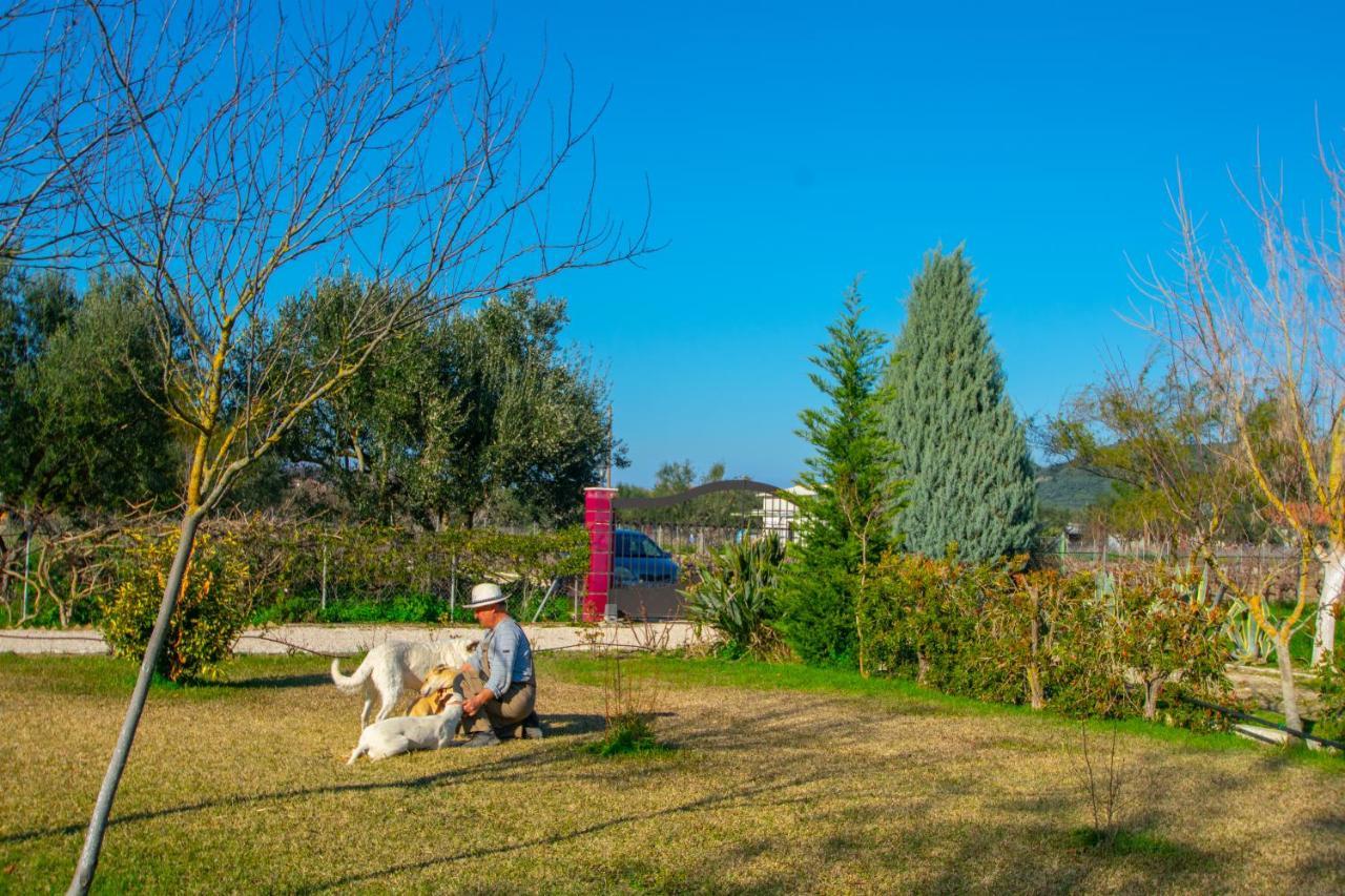 Loukas Farm House Agios Kirikos  ภายนอก รูปภาพ