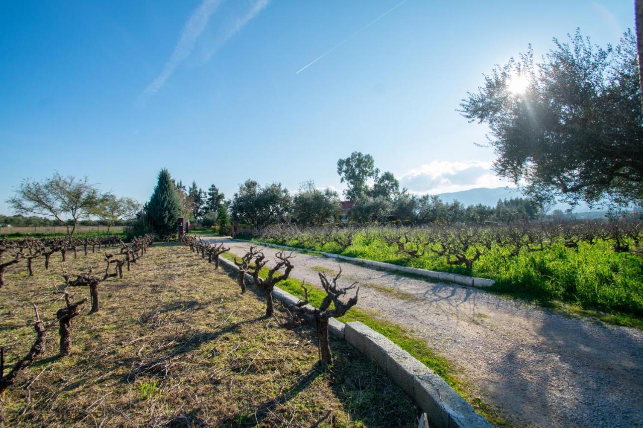 Loukas Farm House Agios Kirikos  ภายนอก รูปภาพ